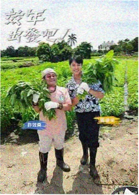 秋霞在线观看 明星大侦探9